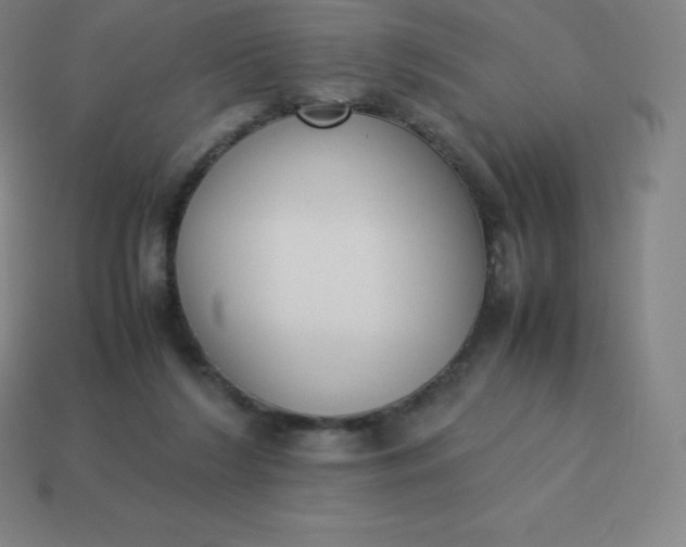 X0000113910212200910081857