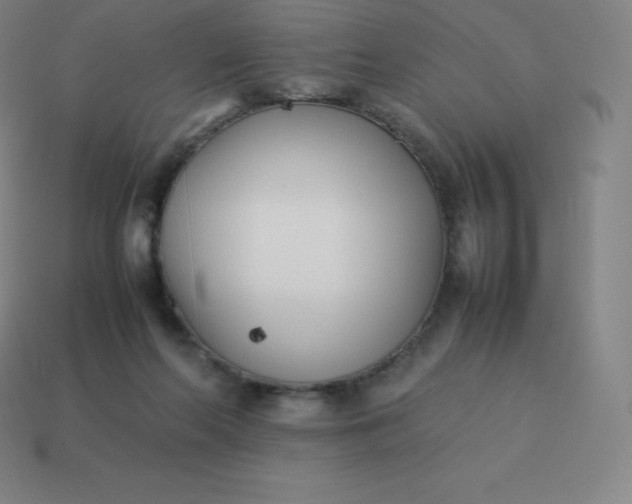 X0000113910214200910081857