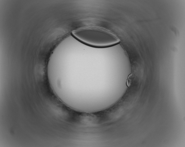 X0000113910215200910081857