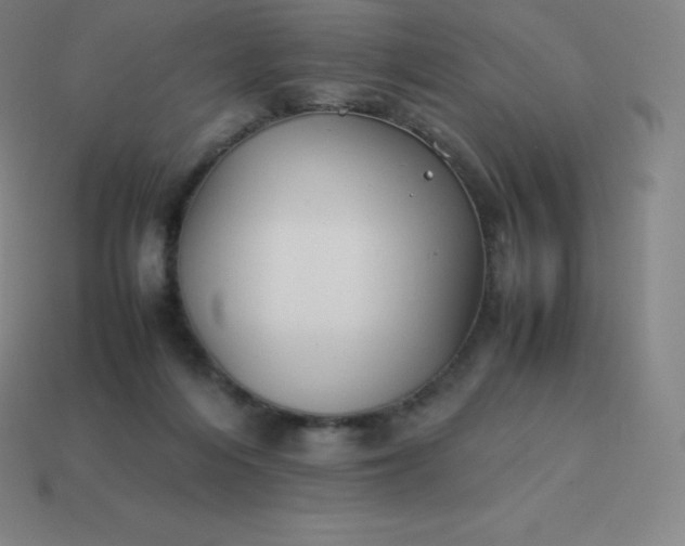 X0000113910216200910081857