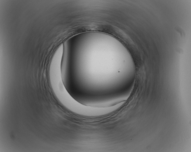 X0000113910217200910081857