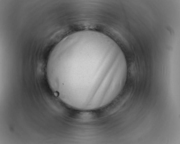 X0000113910218200910081857