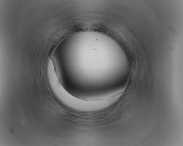 X0000113910219200910081857