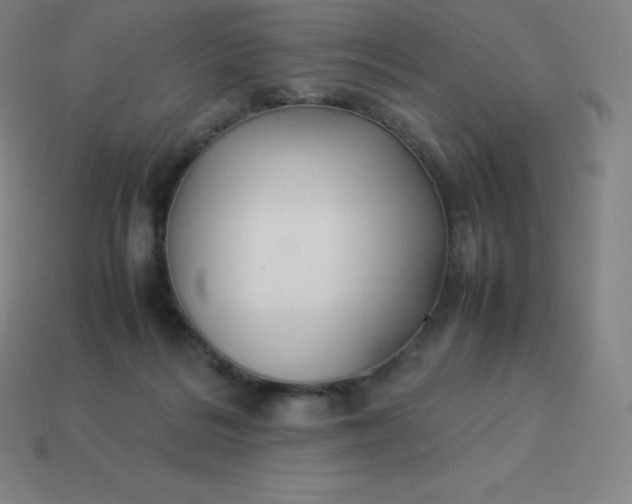 X0000113910220200910081857