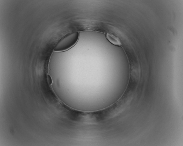 X0000113910221200910081857