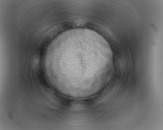 X0000113910222200910081857