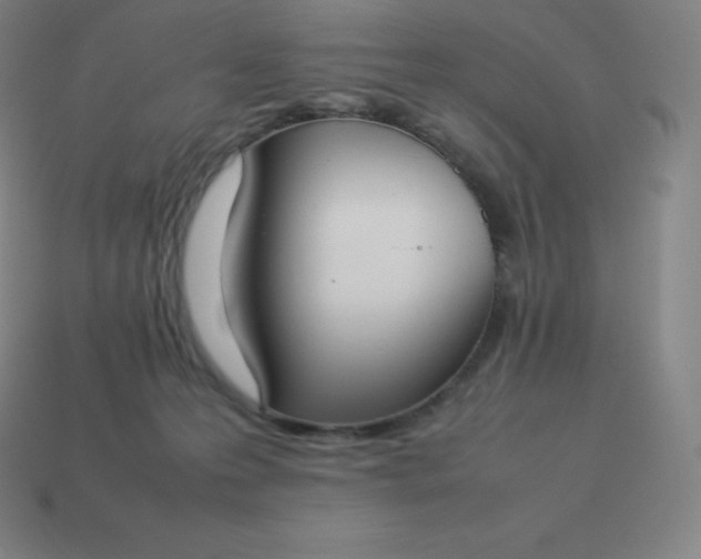 X0000113910223200910081857