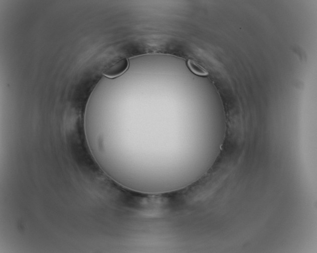 X0000113910225200910081857