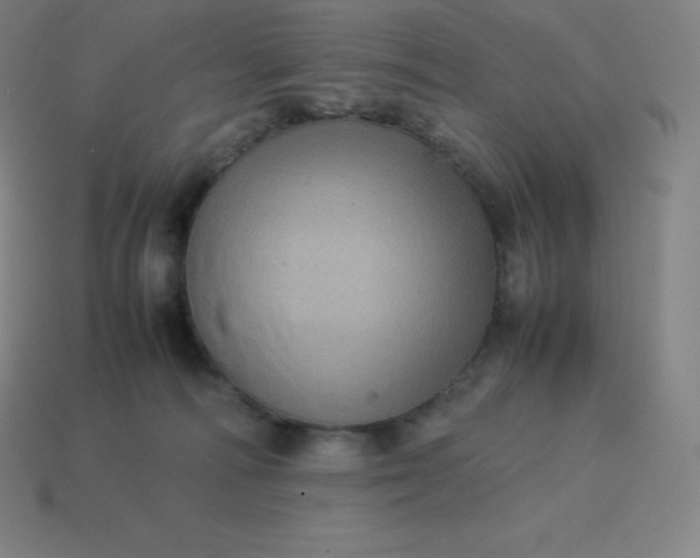 X0000113910226200910081856