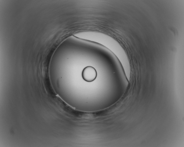 X0000113910227200910081856