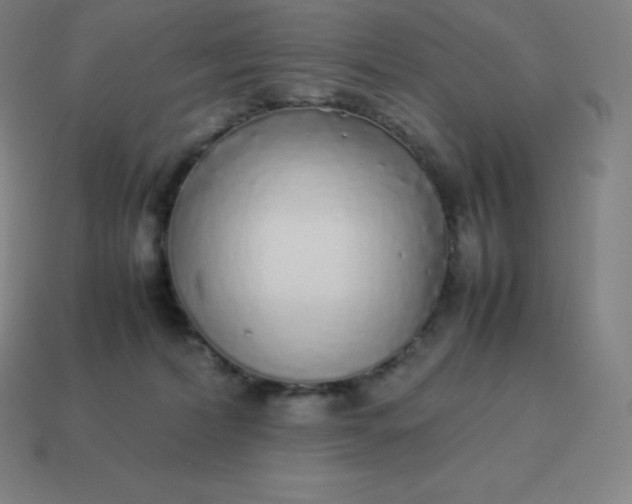 X0000113910228200910081856