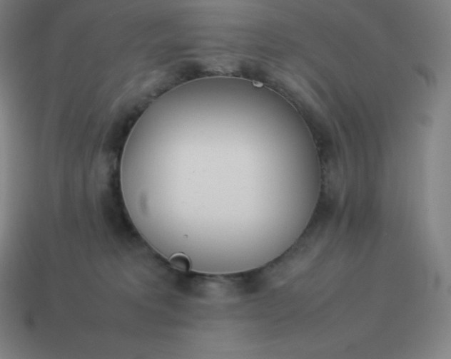 X0000113910229200910081856