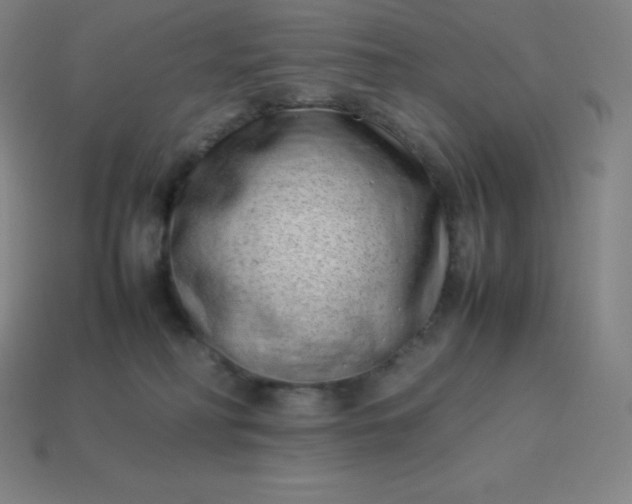 X0000113910230200910081856