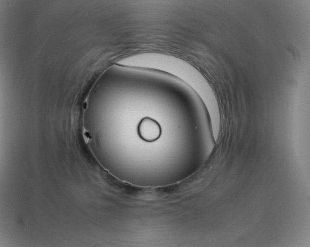 X0000113910231200910081856