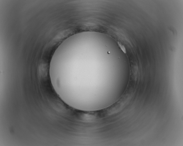 X0000113910232200910081856