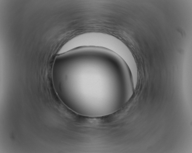 X0000113910233200910081856