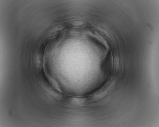 X0000113910234200910081856