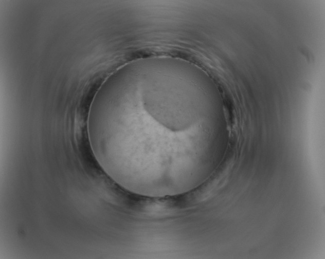 X0000113910235200910081856