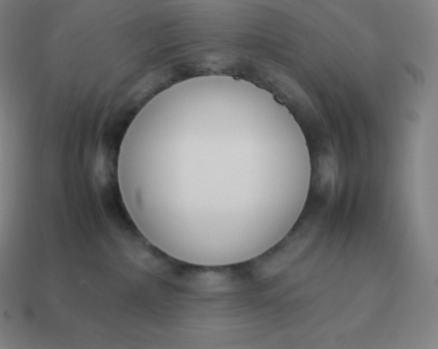 X0000113910236200910081856