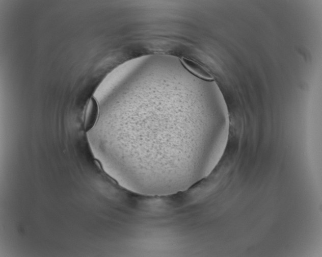 X0000113910237200910081856