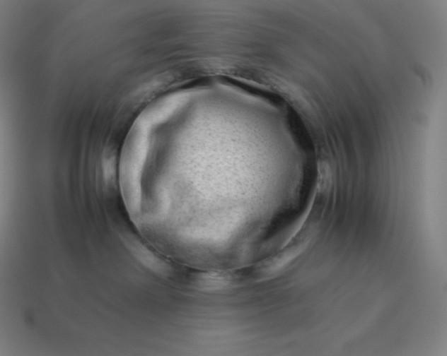 X0000113910238200910081856