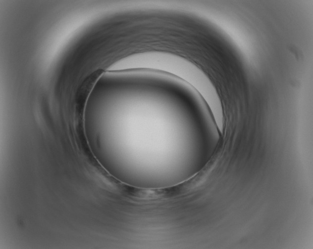 X0000113910239200910081856