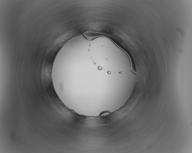 X0000113910240200910081856