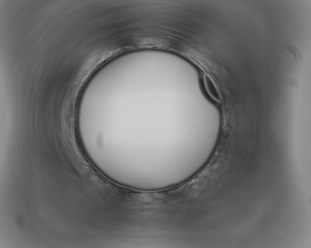 X0000113910241200910081856