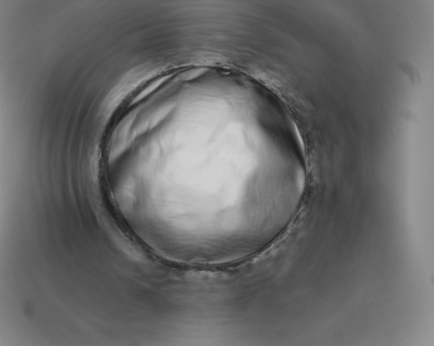 X0000113910242200910081856