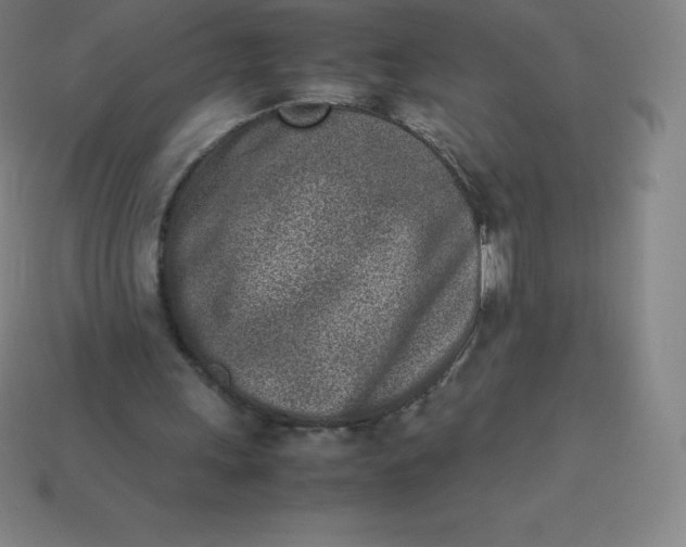 X0000113910243200910081856