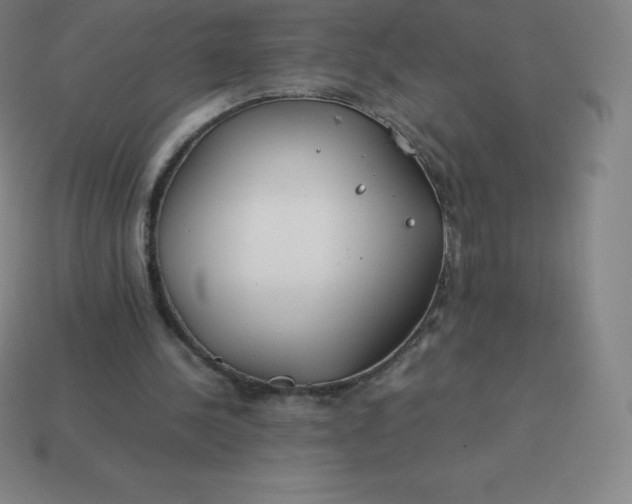 X0000113910244200910081856