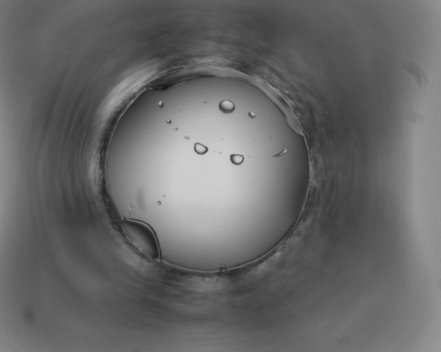 X0000113910245200910081856