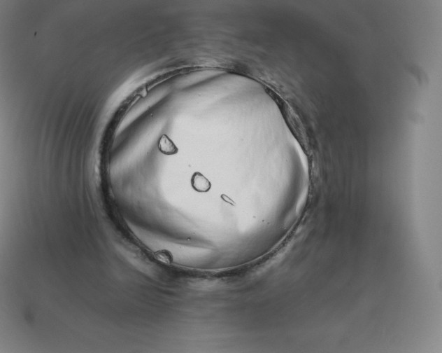 X0000113910246200910081856