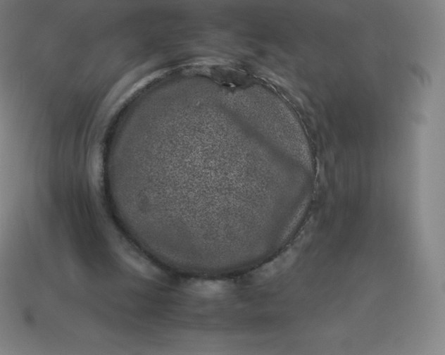 X0000113910247200910081856