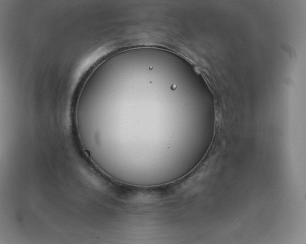 X0000113910248200910081856