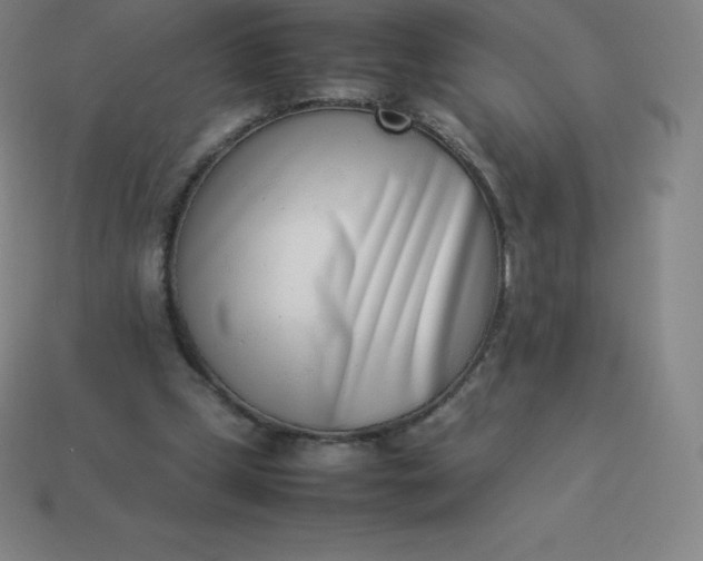 X0000113910249200910081856