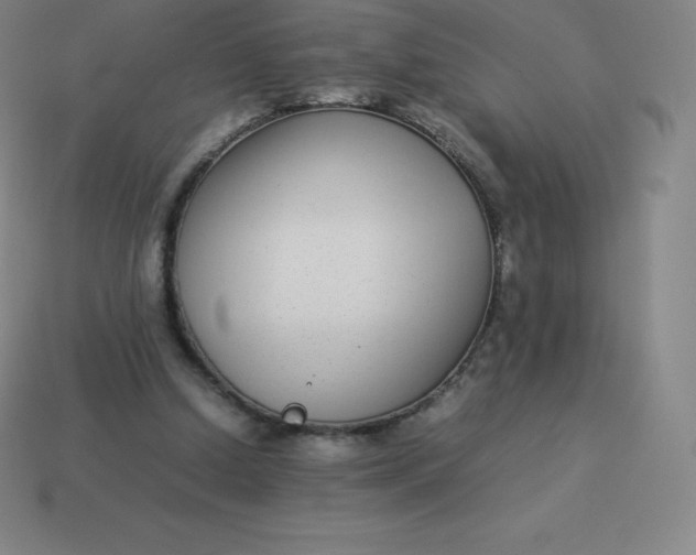 X0000113910250200910081856