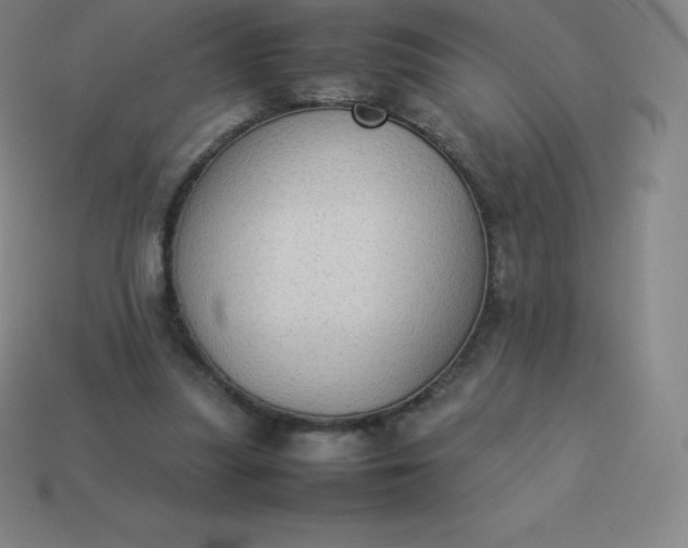 X0000113910251200910081856