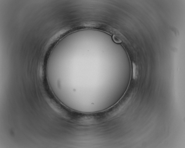 X0000113910252200910081856