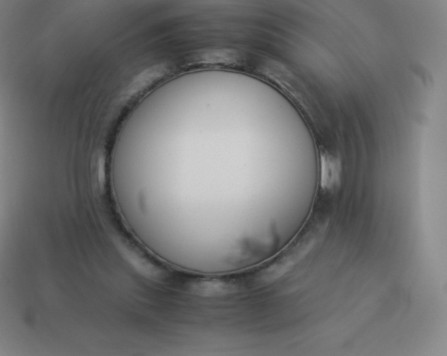 X0000113910253200910081856