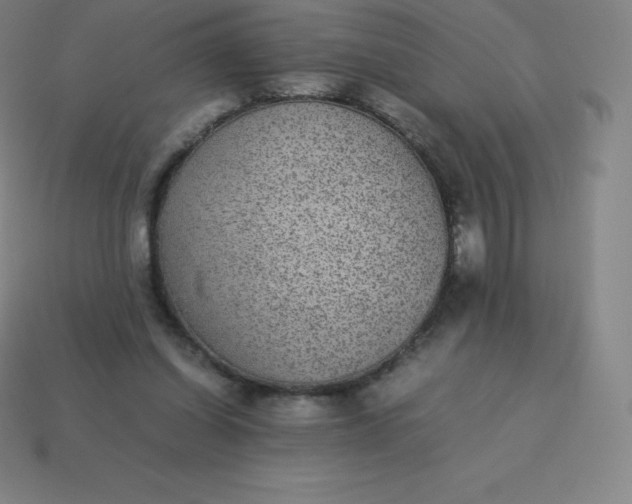 X0000113910254200910081856