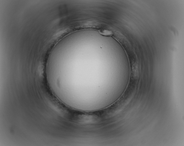 X0000113910255200910081856