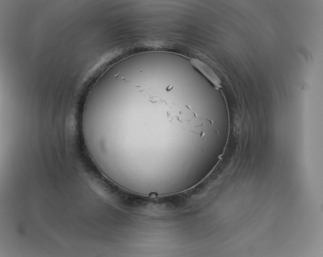 X0000113910256200910081856