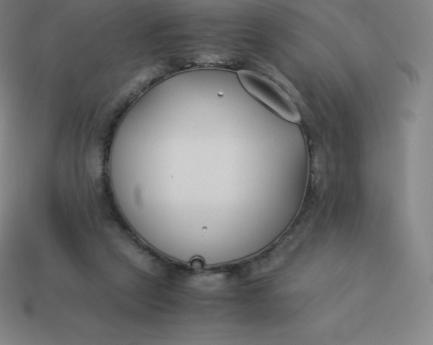 X0000113910257200910081856