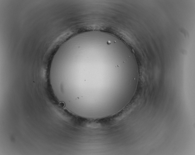 X0000113910258200910081856