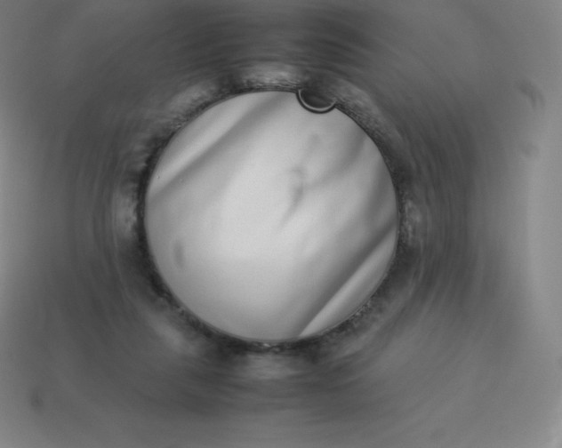 X0000113910259200910081856