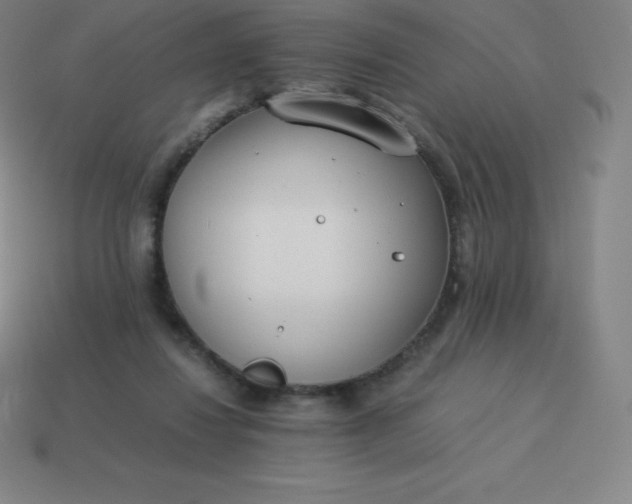 X0000113910260200910081856