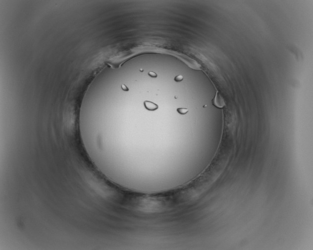 X0000113910261200910081856