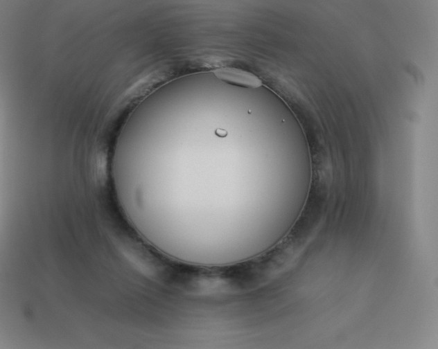 X0000113910262200910081856