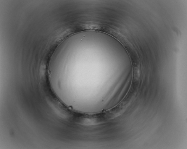 X0000113910263200910081856